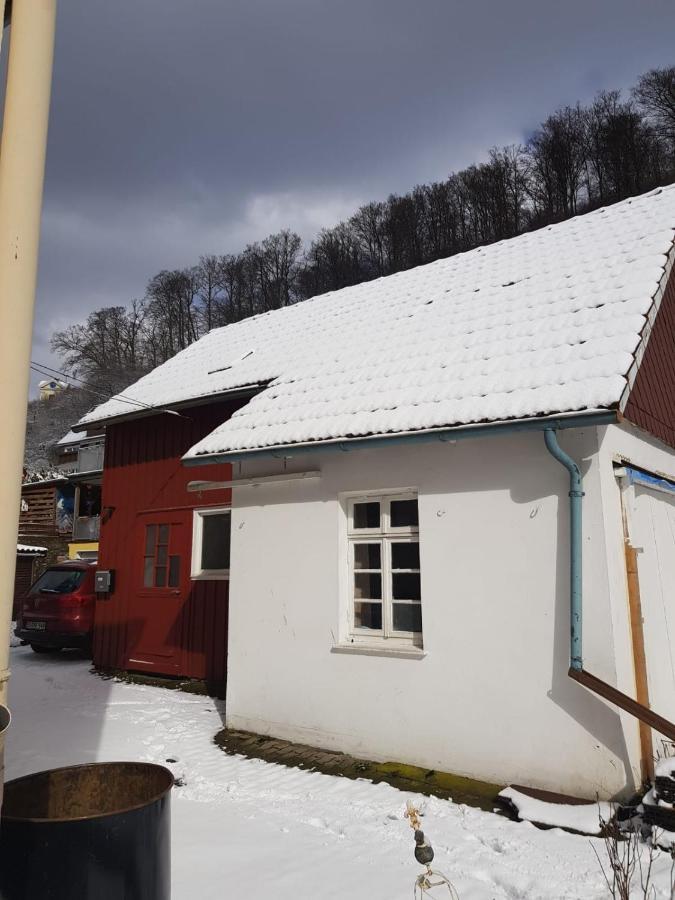 Walkenried Ferienhaus Am Fluss Mit Traumhafter Dachterrasse ,Garten Und Grill מראה חיצוני תמונה