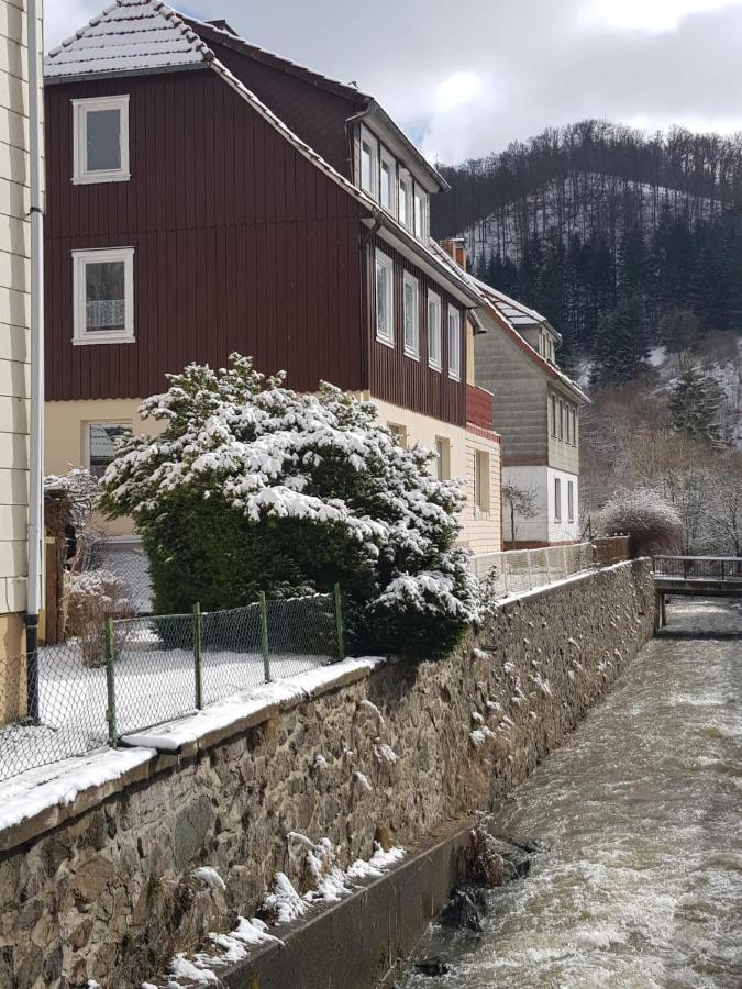 Walkenried Ferienhaus Am Fluss Mit Traumhafter Dachterrasse ,Garten Und Grill מראה חיצוני תמונה