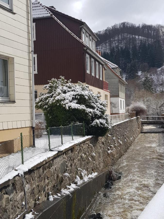 Walkenried Ferienhaus Am Fluss Mit Traumhafter Dachterrasse ,Garten Und Grill מראה חיצוני תמונה