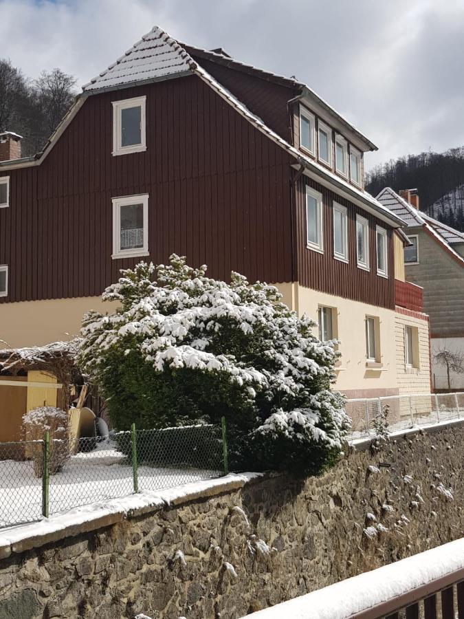 Walkenried Ferienhaus Am Fluss Mit Traumhafter Dachterrasse ,Garten Und Grill מראה חיצוני תמונה