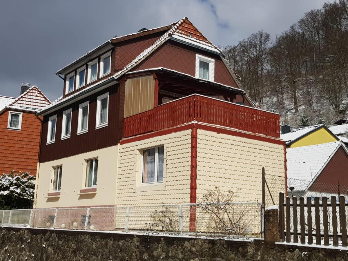 Walkenried Ferienhaus Am Fluss Mit Traumhafter Dachterrasse ,Garten Und Grill מראה חיצוני תמונה