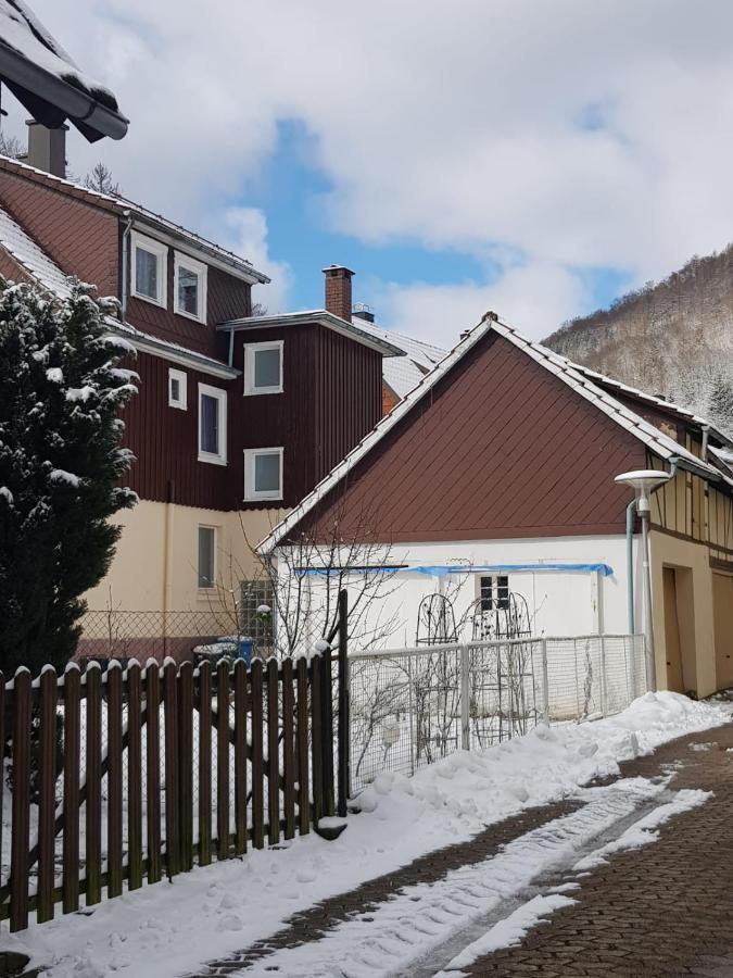 Walkenried Ferienhaus Am Fluss Mit Traumhafter Dachterrasse ,Garten Und Grill מראה חיצוני תמונה