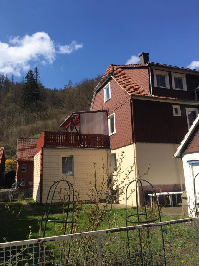 Walkenried Ferienhaus Am Fluss Mit Traumhafter Dachterrasse ,Garten Und Grill מראה חיצוני תמונה